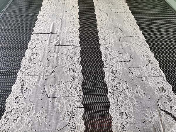 Lingerie Lace Laser Cutter Sample 7.5